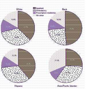 Figure 16: How does the distribution of expenses vary by race/ethnicity?