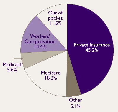 Figure 3.  Pie Chart - See text conversion below for details.