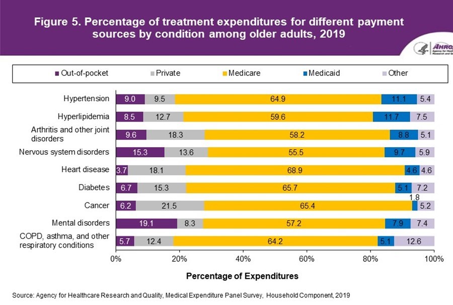 Figure displays: Percentage of treatment expenditures for different payment sources by condition among older adults, 2019