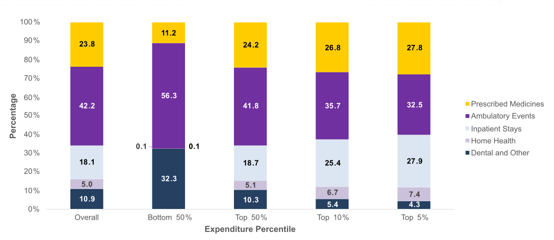 Figure displays: Percentage of expenditures by type of service and expenditure percentile, 2022