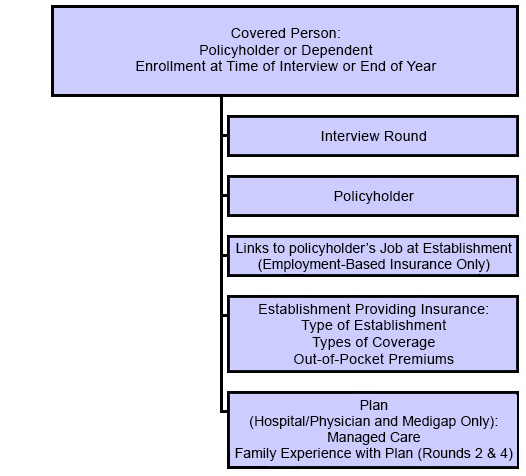 Flowchart depicting the five types of record information.