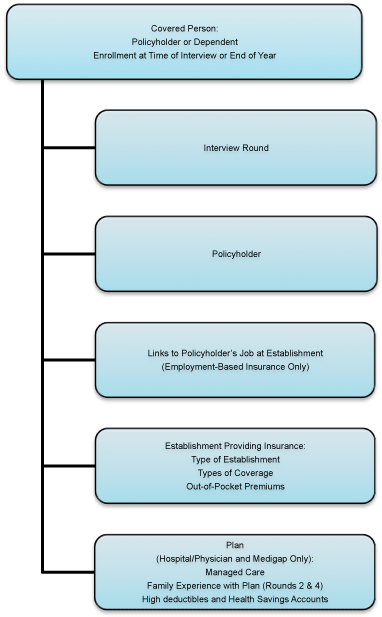 Flowchart depicting five types of record information for covered persons.