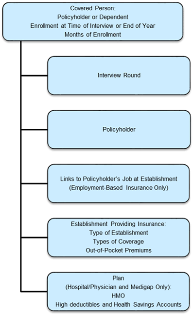 Depicts five types of record information for covered persons.