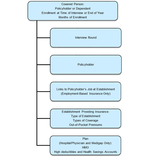 Depicts five types of record information for covered persons.