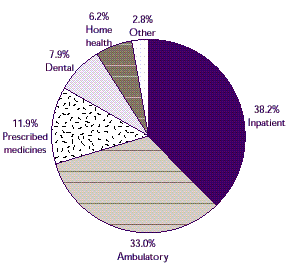 Figure 4: How are medical expenses distributed by type of service?
