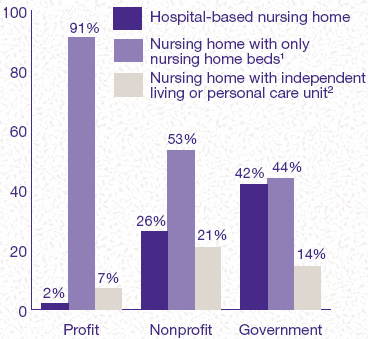 Figure 2. Nursing homes by type and ownership: 1996 